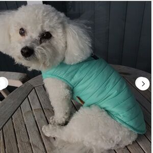Gooby Puffer Vest for Small Dogs Lightweight Aqua Blue Warm Fashionable